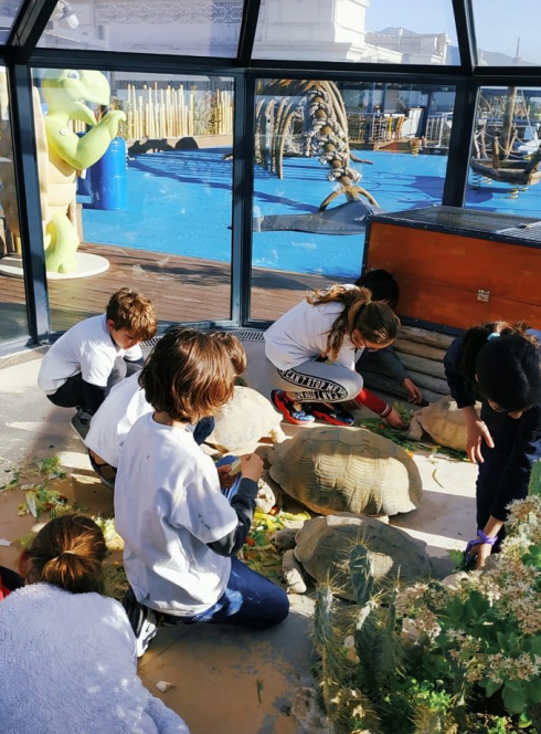 Animations au Musée Océanographique