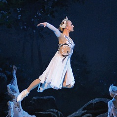 Le Lac des Cygnes sur glace