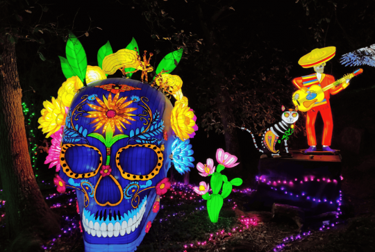 Safari de Peaugres - Lumières Sauvages