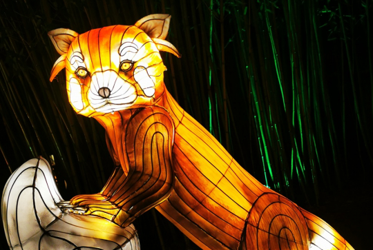 L'Odyssée Lumineuse à Bordeaux - panda roux