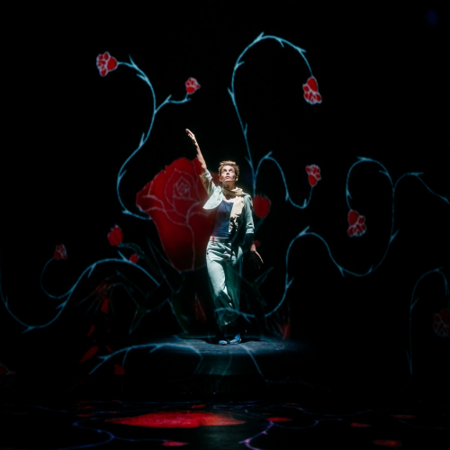 Le Petit Prince - La Scala