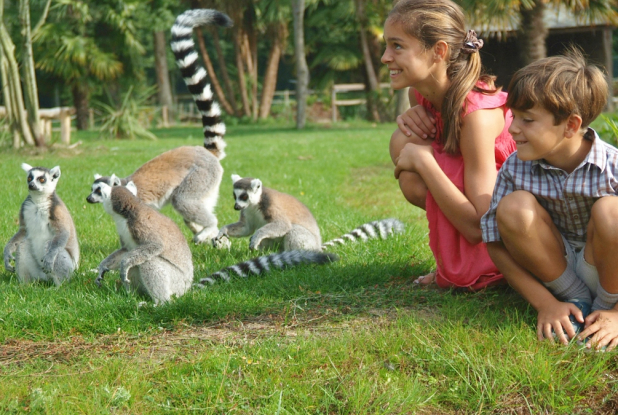 Enfants et lémuriens à la Bourbansais