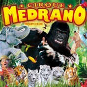 Cirque Medrano - King Kong