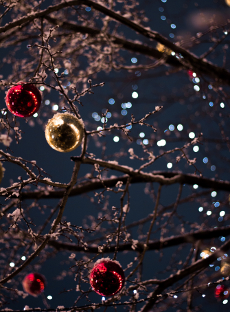 Le village de Noël à Marquette-lez-Lille