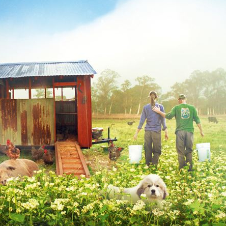 Tout est possible (The biggest little farm) - Affiche