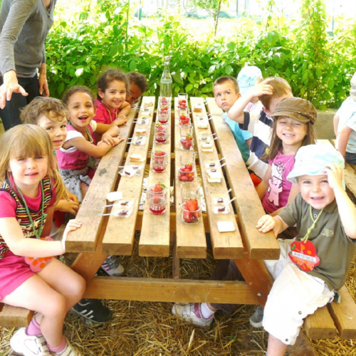 Le Jardin Grenadine - Ambiance Goûter