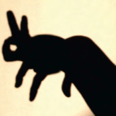 Ne touchez pas mes mains