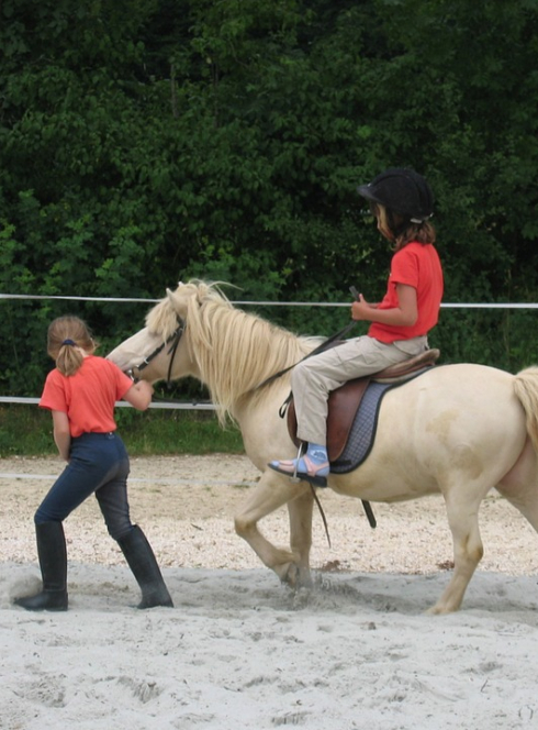 Stage équitation enfants