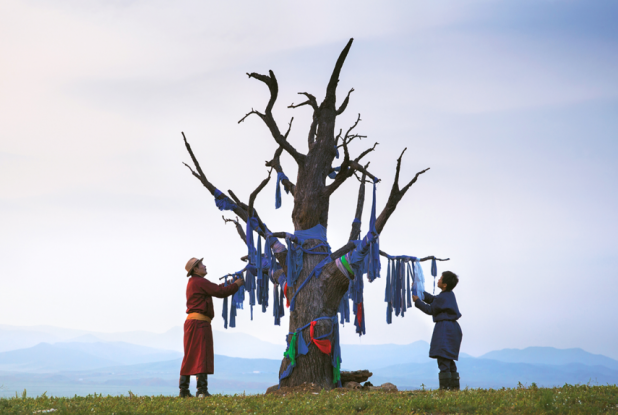 Les Racines du Monde : l'arbre du film