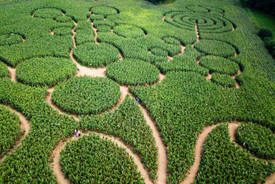 Labyrinthe de Montmédy dans la Meuse