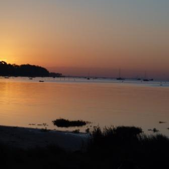 Réserve naturelle des Prés Salés