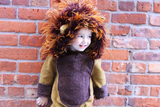 Déguisement Le Roi Lion