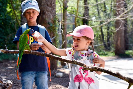 Découvrir l'Ain en été - Parc des oiseaux