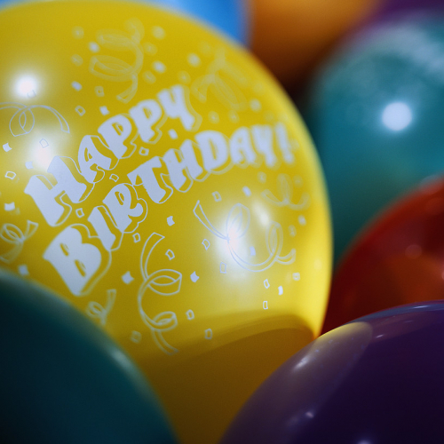 patinoire-patinium-vannes 01