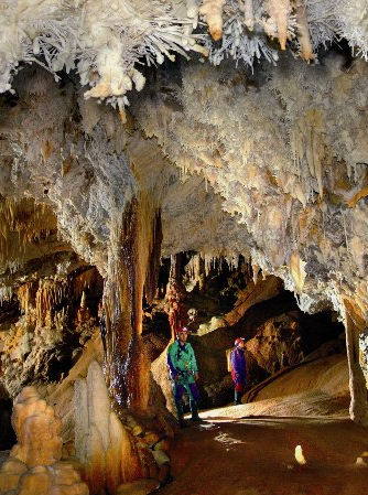 Goiuyffre géant Cabrespine - Aude Tourisme