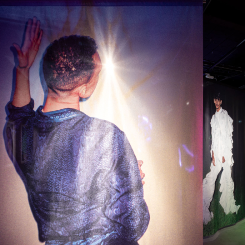 Expo Oiseaux de Nuit