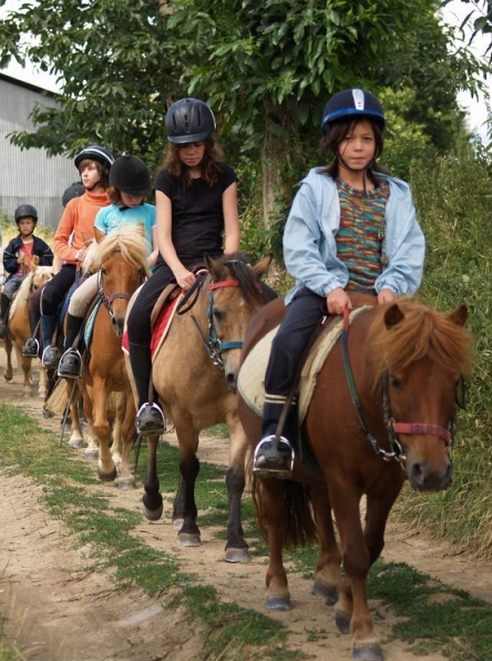 Centre ferme equestre Rennes