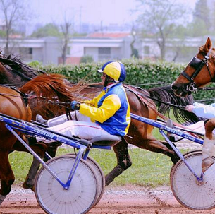 Hippodrome de Toulouse