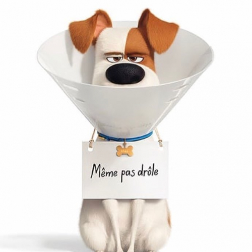 Comme des Bêtes 2 - Affiche teaser