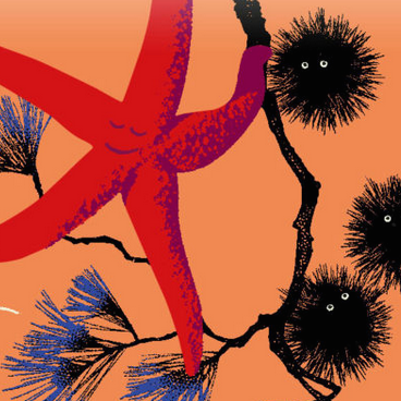 L'Automne des Calanques