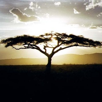 Paysage d'Afrique