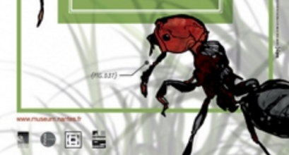Expo Mille milliards de fourmis
