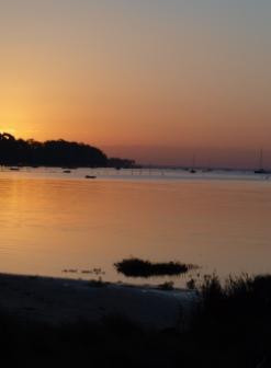 Réserve naturelle des Prés Salés