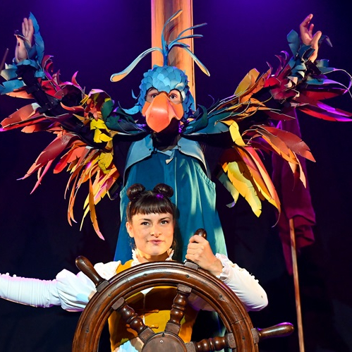 Zélie la pirate - Aurélie CABREL et Fanny DUPIN