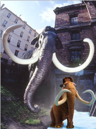 Evenèment Citizen Kid au Musée d'histoire naturelle