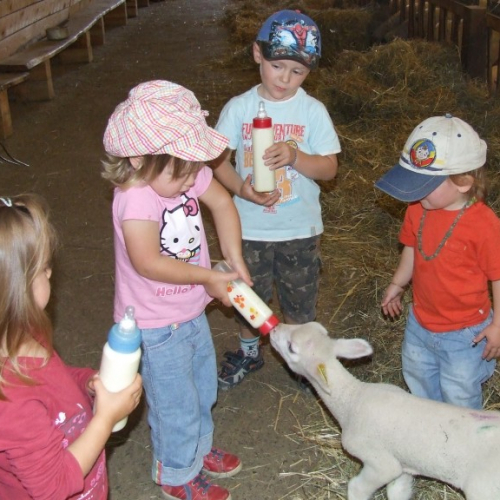 La Ferme de Pâquerette