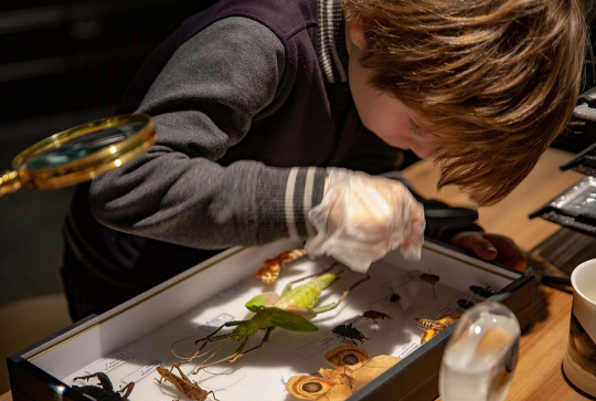 Animation Chrono'Lab au Musée des Confluences