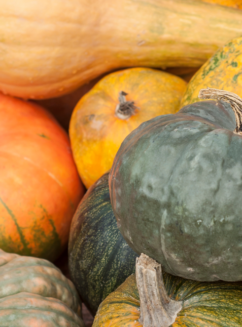 Fête de la courge et des fruits d'automne