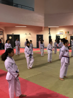 Montpellier Méditerranée Métropole Taekwondo
