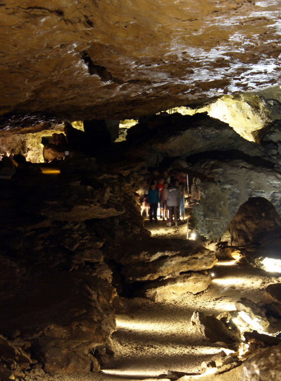 Grottes de La Balme : Galerie du désert