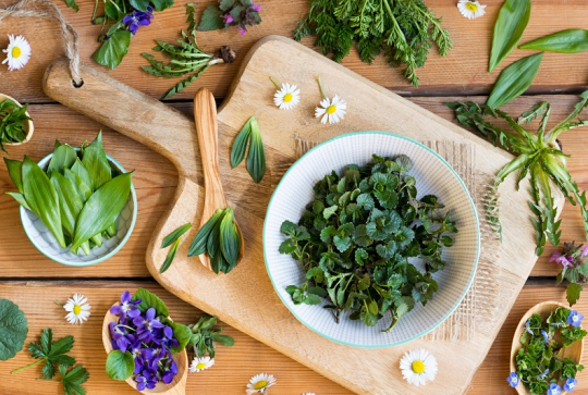 Cueille et Croque plantes comestibles