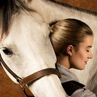 Salon du cheval 2014