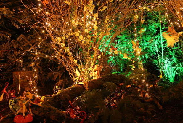 Marché de Noël à Castres 2018