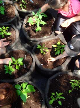 Les vendredis du jardin des cultures à Lille