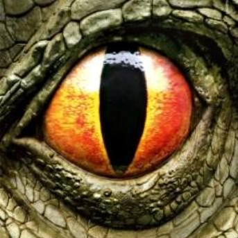 Dinosaures 3D
