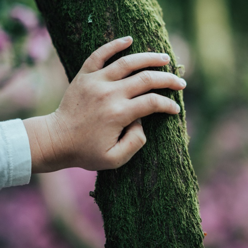 Festival ZZ Zéro Déchet 2018