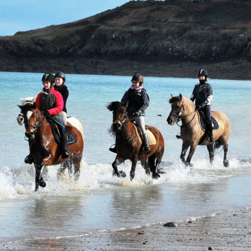 Stage vacances - Domaine de la Haute Hairie
