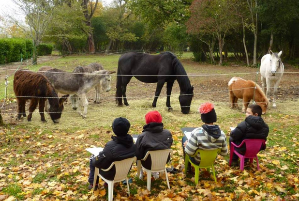 Ferme d'animation du Chateau de Bergues : atelier dessin