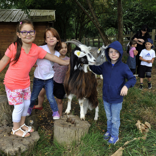 Photo Ferme des Iris