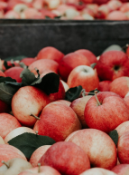 Expo "Pom, pom, pommes, une histoire bretonne"