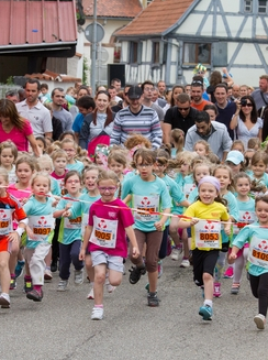 Marathon du vignoble d'Alsace