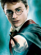 Harry Potter : la saga magique