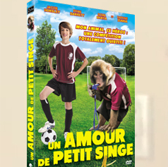 Un amour de petit singe