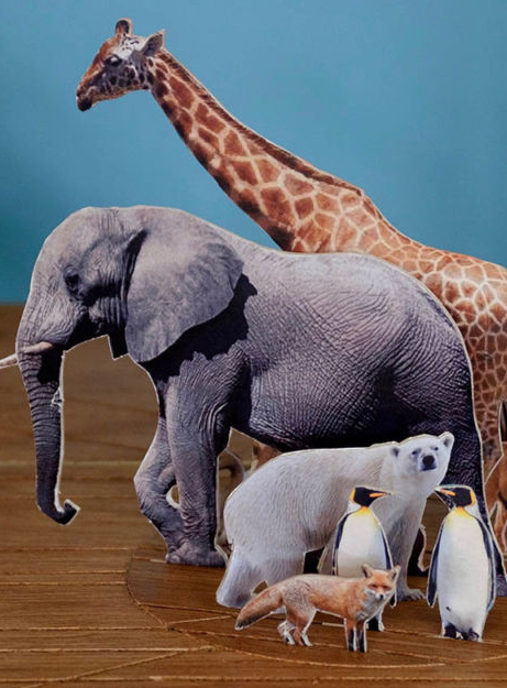 Spectacle Diorama Nice