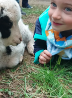 Ferme de la Marinette : enfant et chèvre