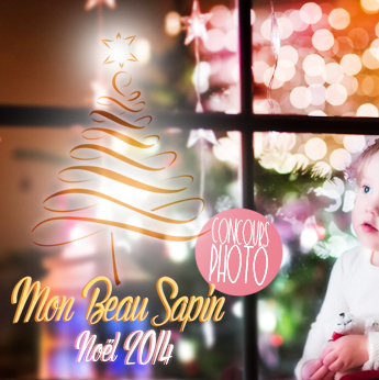 Concours photo mon beau sapin 2014